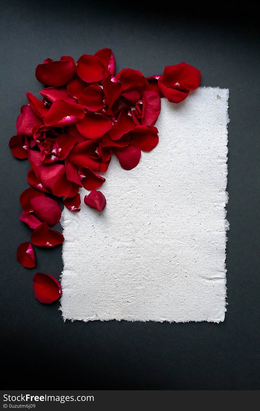 Beautiful frame of red rose petals with place for text. Handmade paper sheet, textured surface. Greeting card for the holiday