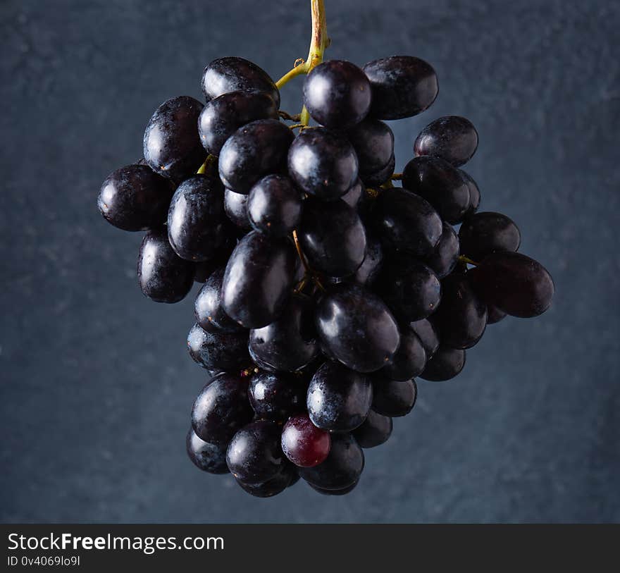 A cluster of juicy black grapes   on a dark gray background