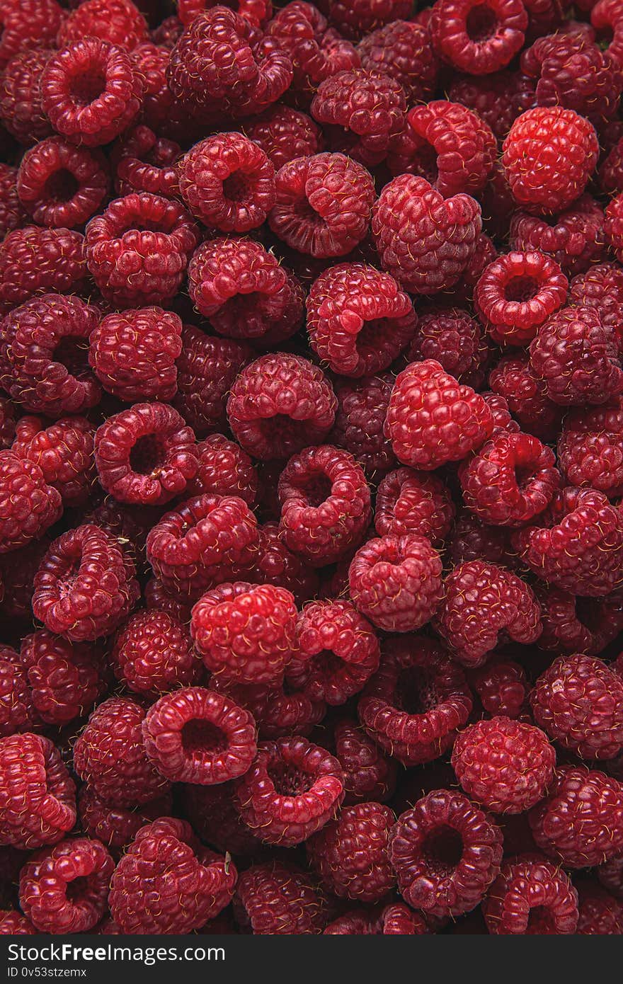 Fresh raspberry background, top view