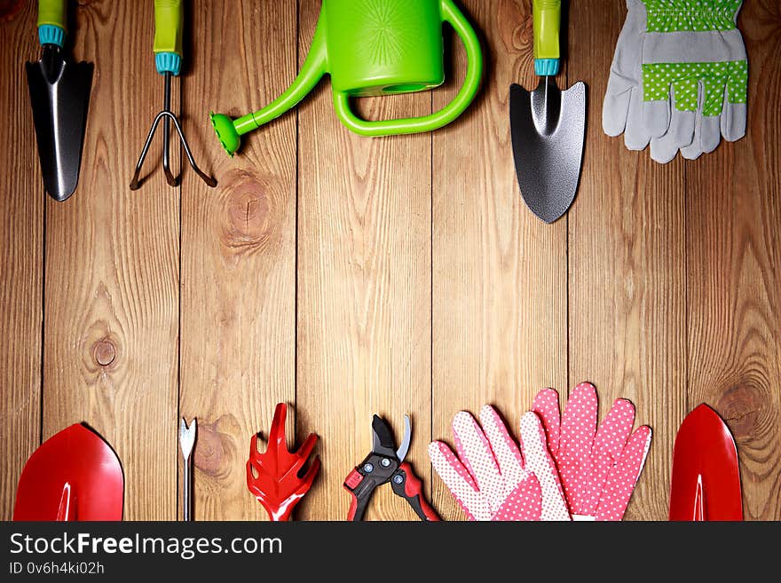 Green seedling in pots and tools on wooden background. Ecology theme. Green seedling in pots and tools on wooden background. Ecology theme