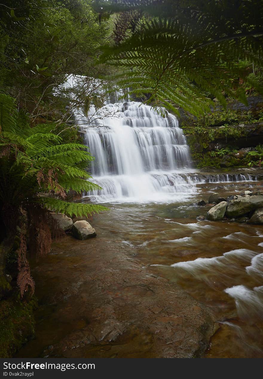 Lush green tree ferms frame a stepped waterfall with gushing water. The flow has been smoothed by a slow shutter speed. The flow is also been smoothed over the stream or river flowing from the waterfall. Lush green tree ferms frame a stepped waterfall with gushing water. The flow has been smoothed by a slow shutter speed. The flow is also been smoothed over the stream or river flowing from the waterfall.