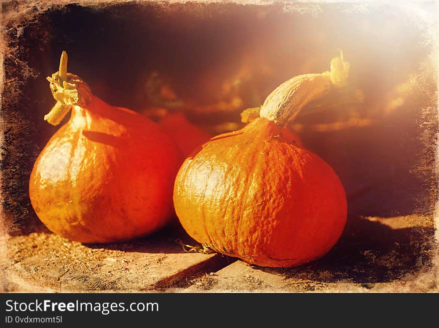 Hokaido pumpkins on a wooden table outdoors, old photo effect