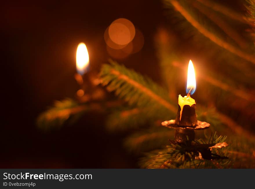 A burning candle on a christmas tree in the night