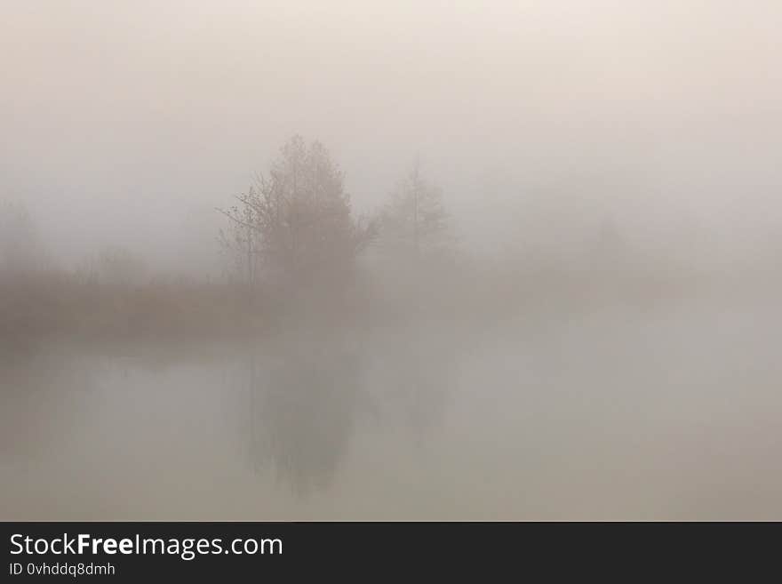 Heavy dense fog on a forest river. Blurred background and a diverse shot