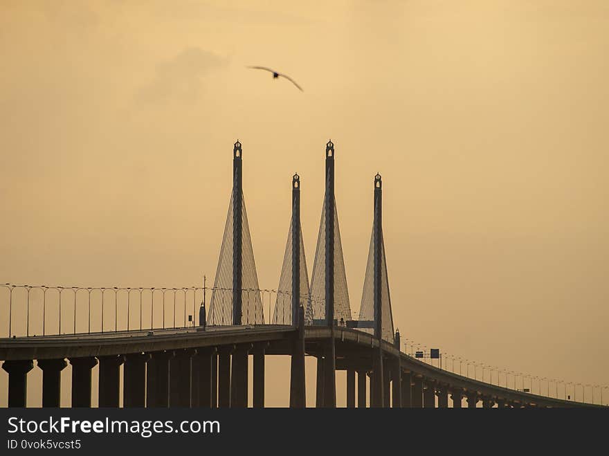 Penang bridge in morning with a bird fly over