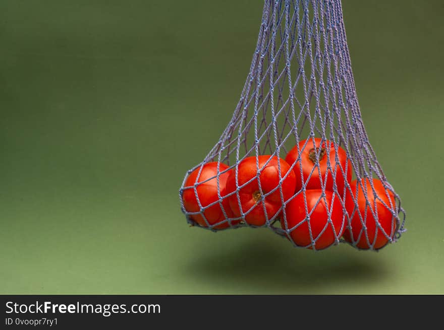 Tomatoes in blue shopping string bag on green background. Eco friendly concept