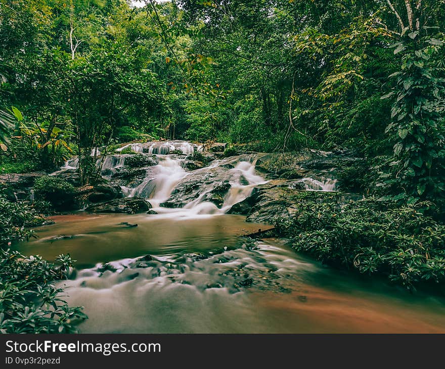 Beautiful nature in Queen Sirikit botanic garden