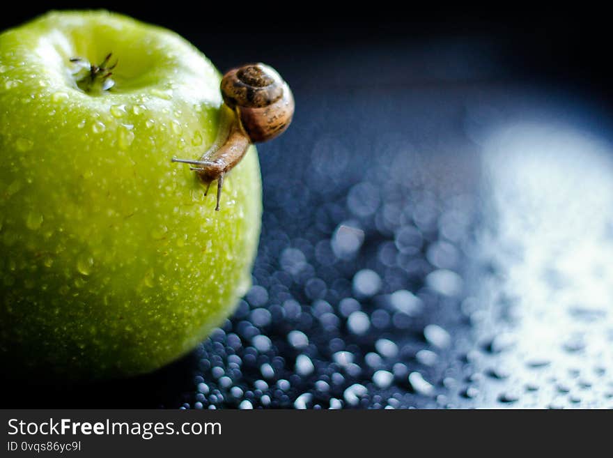 On a blue background, an Apple and a snail, around a drop of water. On a blue background, an Apple and a snail, around a drop of water