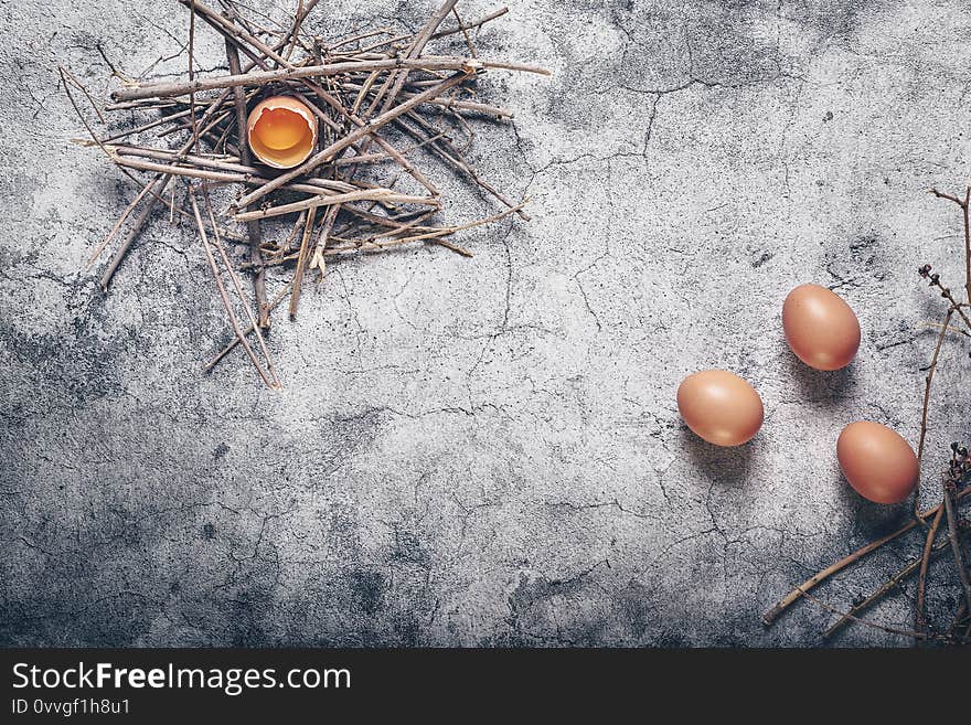 Fresh eggs in natural space