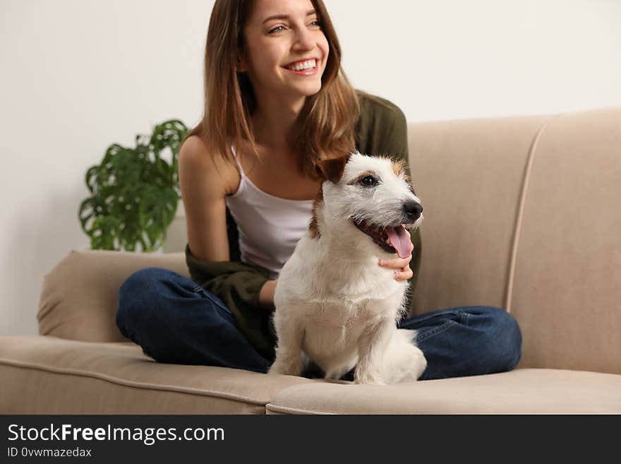 Young woman with her cute Jack Russell Terrier on sofa. Lovely pet