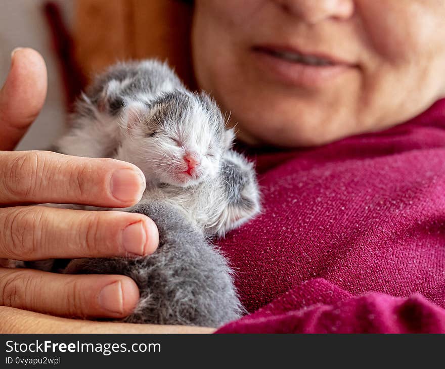 Woman holding little newborn kittens in her arms_