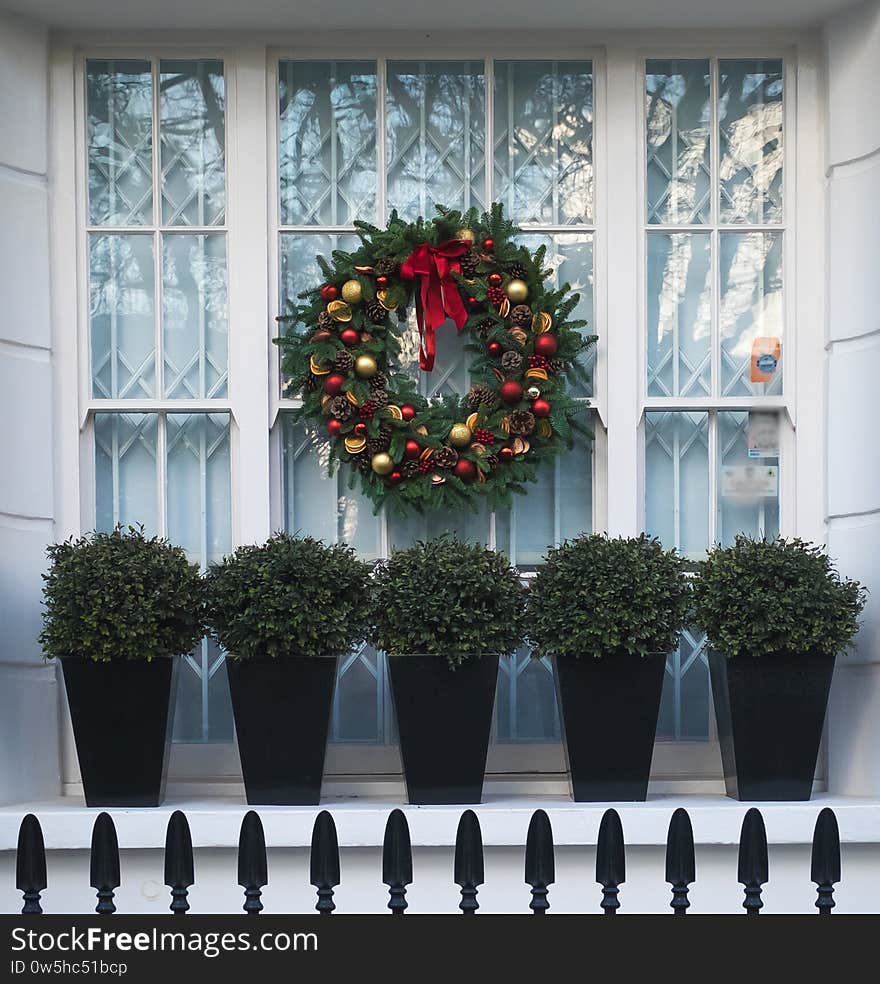 A flower garland attached to the window in front of the house plants