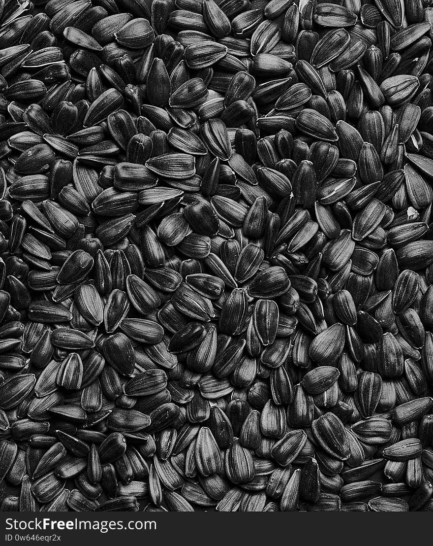 Sunflower seed texture background. Seeds in a black shell, pattern. Closeup photo of a lot of seeds