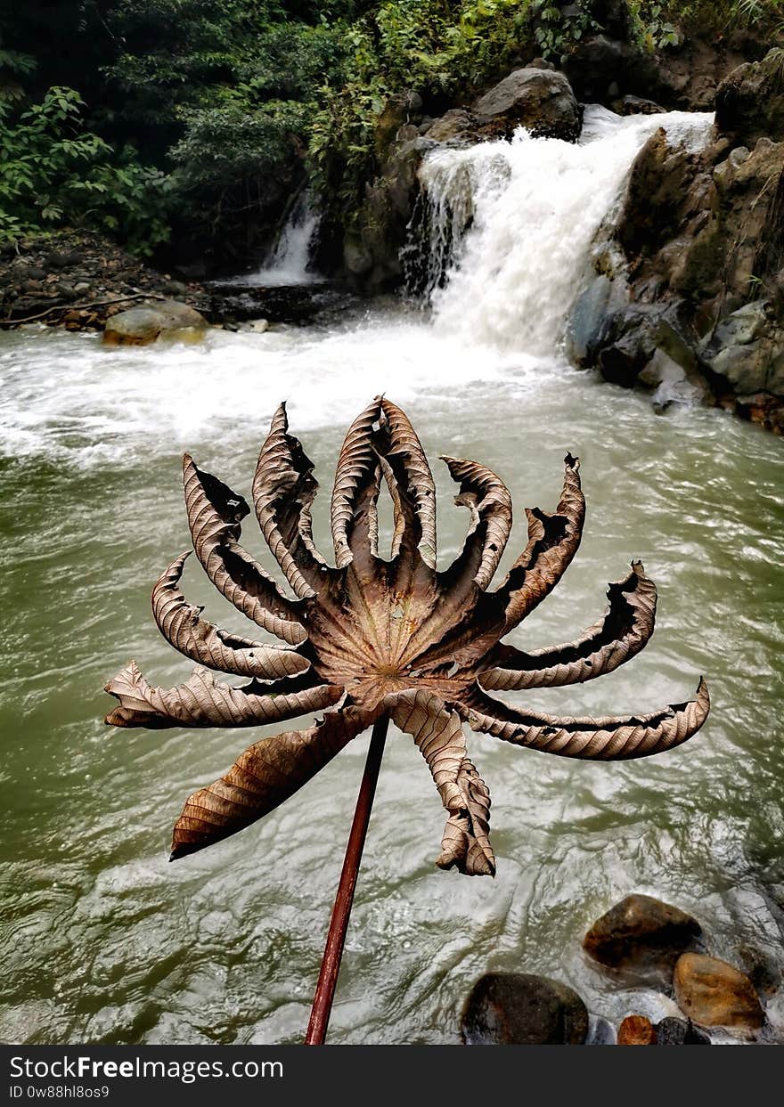 Sensoria Waterfall Buenos Aires Costa Rica