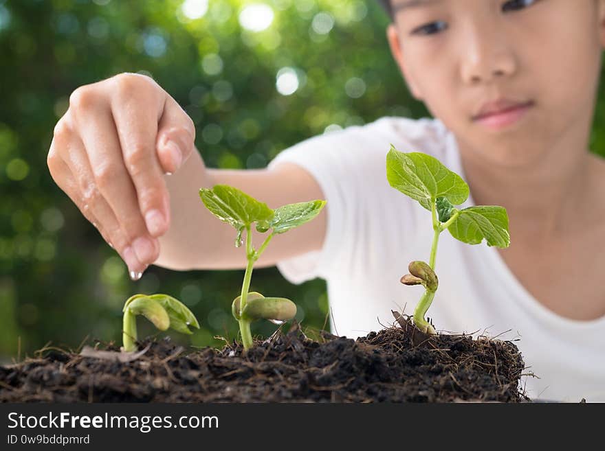 Selective focus, close up at young seedling getting water from little kid hand at home garden during summer. Earthday concept. Selective focus, close up at young seedling getting water from little kid hand at home garden during summer. Earthday concept