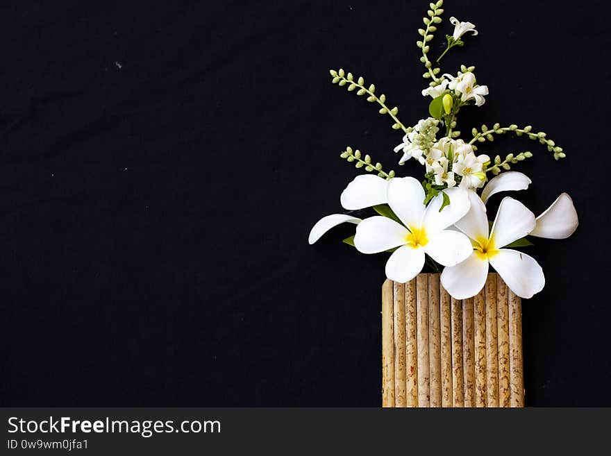 White flowers frangipani local flora of asia in spring season arrangement  flat lay postcard style on background black