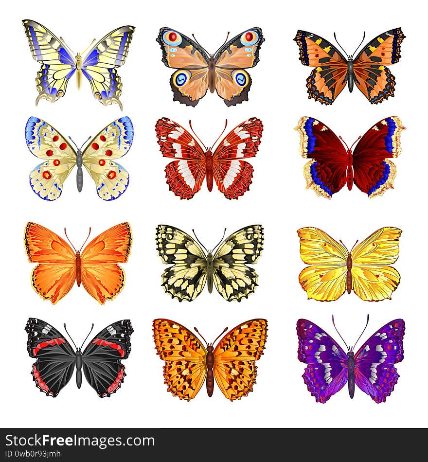 Butterflies various mountain meadow and forest butterflies environment watercolor vintage on a white background vector