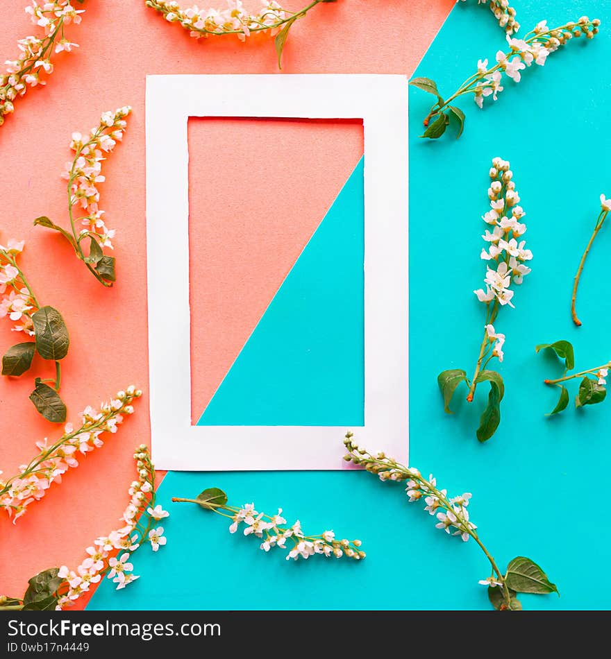 Mockup photo frame and blooming spring branches on geometric blue and pink background. Flat lay top view copy space. Springtime co