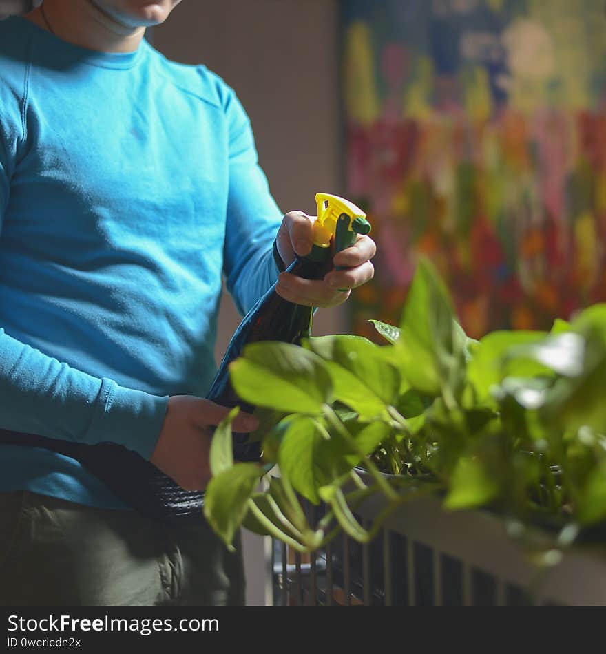 Man in blue uniform watering flowers in restaurant. Waiter at work.