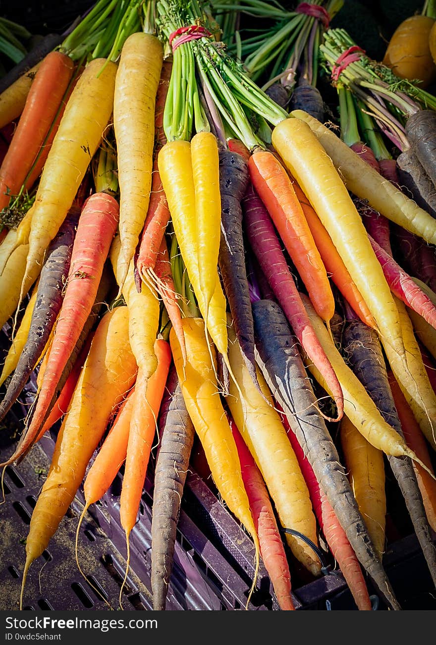 Fresh organic rainbow carrots 2020 Food background with assortment of fresh organic vegetables