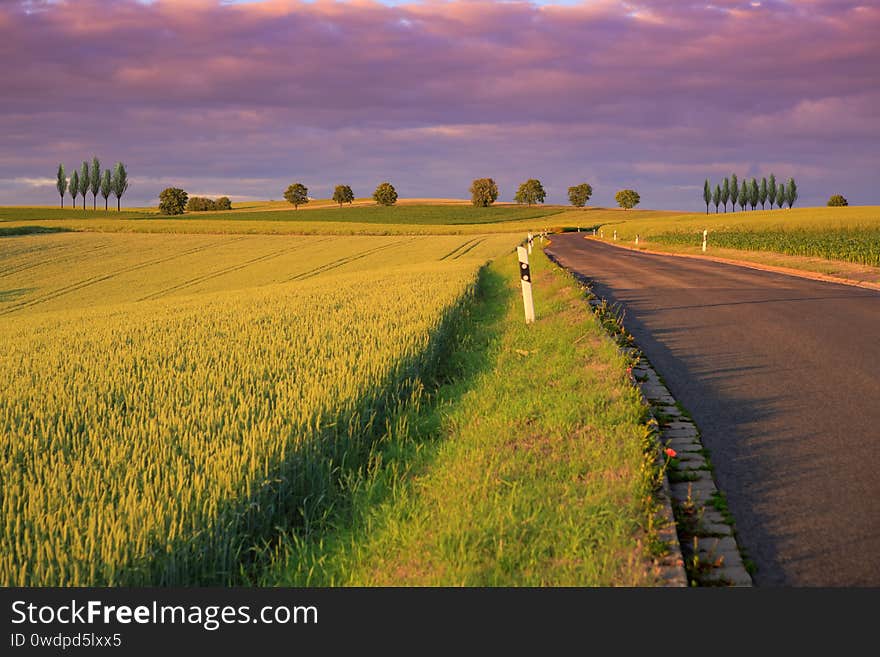 Rural lansdscape at summer by setting sun