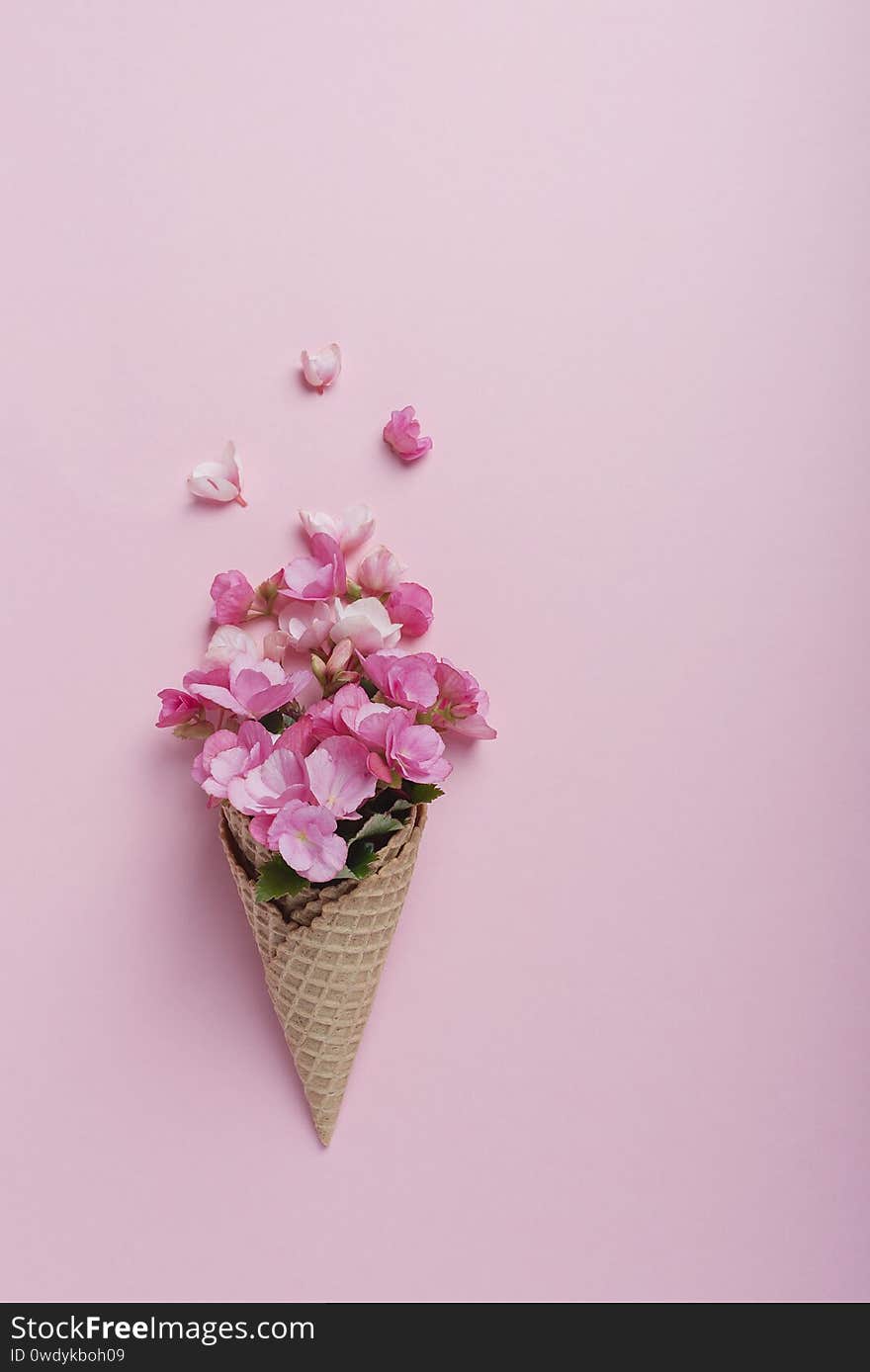 Summer minimal concept. Ice cream cone with pink begonia flowers on pink pastel background. Flat lay. Top view with a copy scpace. Creative layout