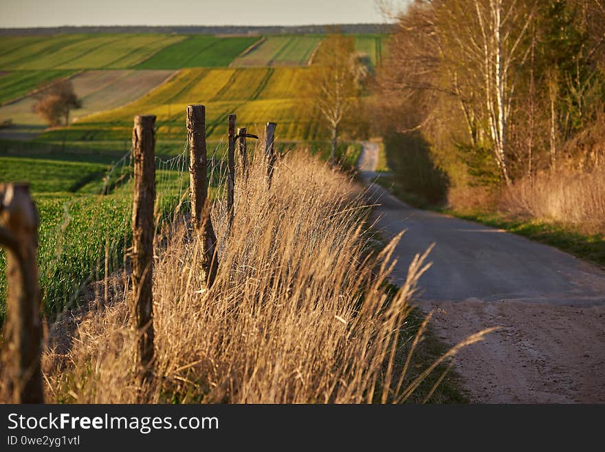 A dirt road among fields.