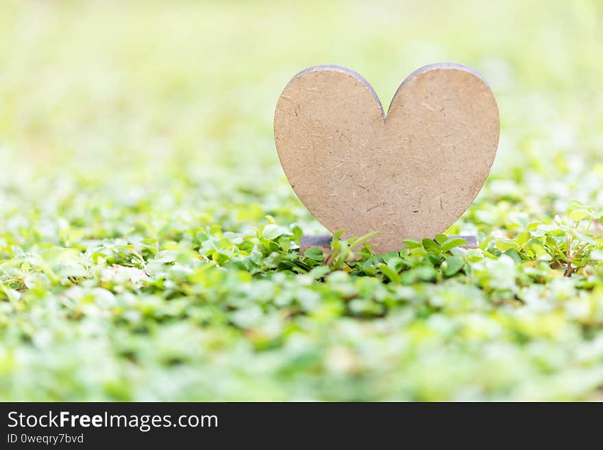 Wooden heart icon on fresh green grass background in morning sun light