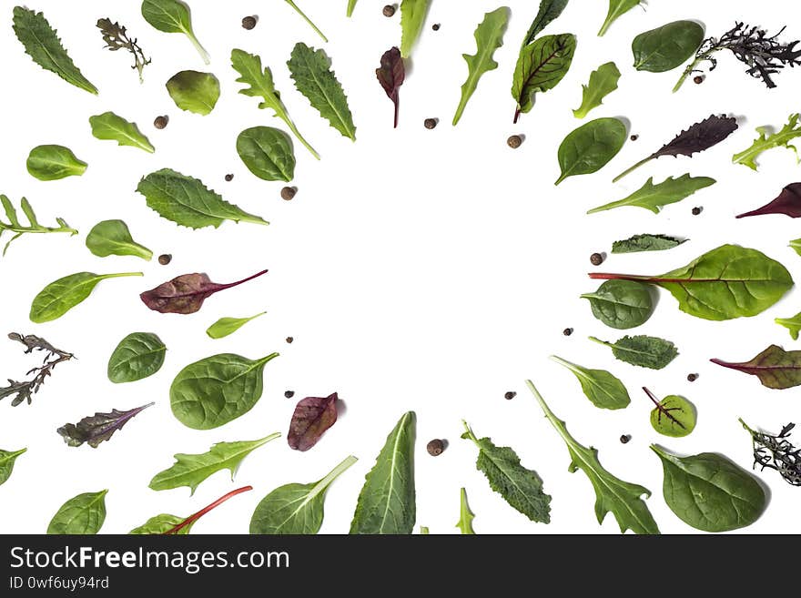 Leaves of different types of lettuce on a white background with a copy of the space.