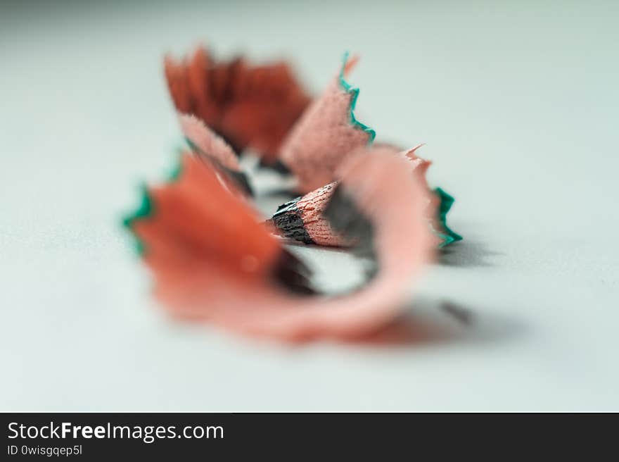 View of pencil shavings through a blurred foreground