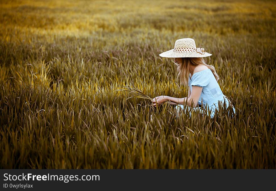 Young woman sits on a wheat field with sunrise on the background