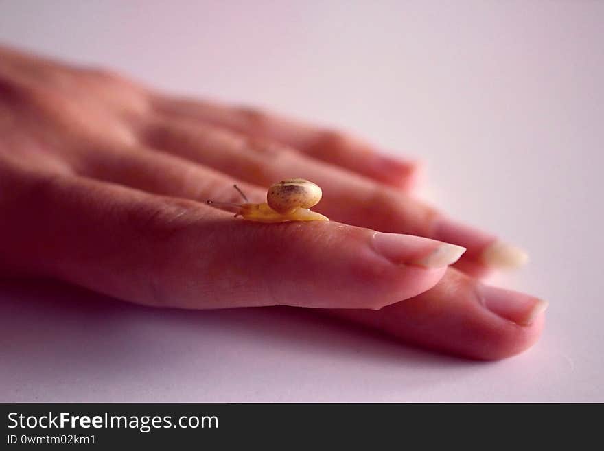 Human friendship with a resting snail. Human friendship with a resting snail.