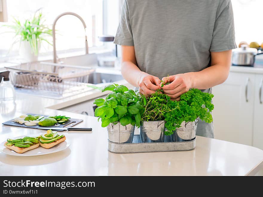 Man`s hand picking leaves of greenery during cooking. Home gardening on kitchen. Pots of herbs with basil, parsley and thyme. Home planting and food growing. Sustainable lifestyle, plant-based foods