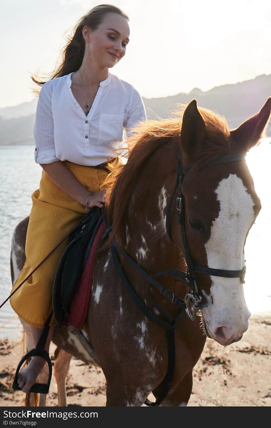 View of young girl sits on a horse in nature at sunset one