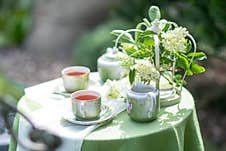 Two Cups Of Hot Tea. Glass Cups Tea. Outdoor Stock Images