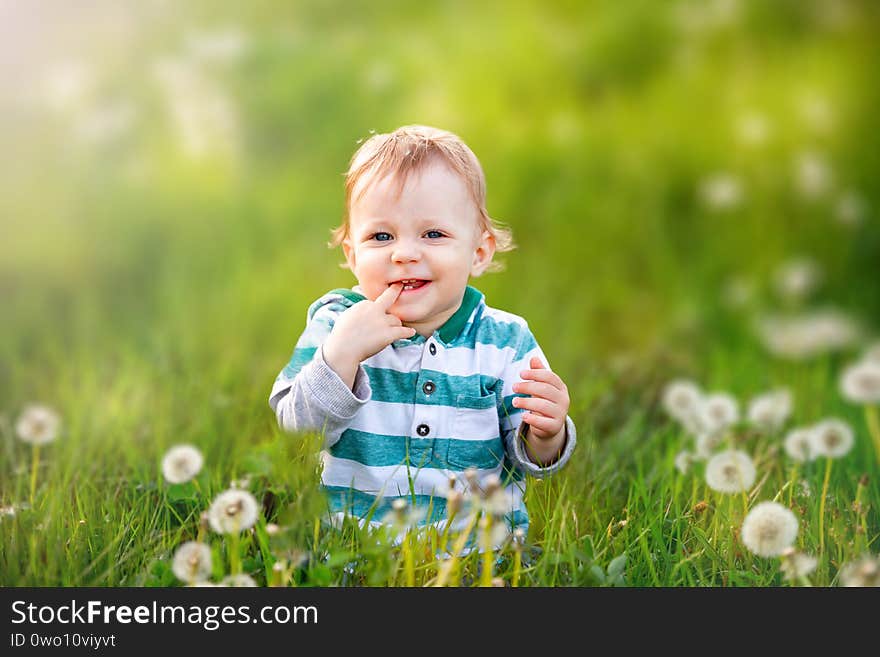 Beautiful baby in a meadow with dandelions in the sunlight. The concept of a happy childhood and childrens insurance, summer outdoor recreation, summer vacation. Beautiful baby in a meadow with dandelions in the sunlight. The concept of a happy childhood and childrens insurance, summer outdoor recreation, summer vacation