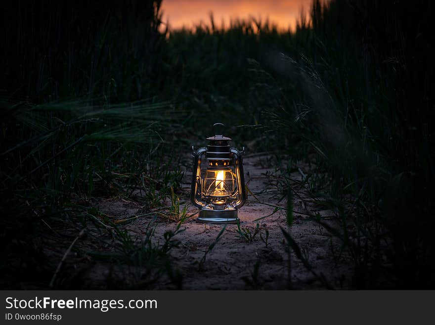 Burning lantern stands in a cornfield at dusk