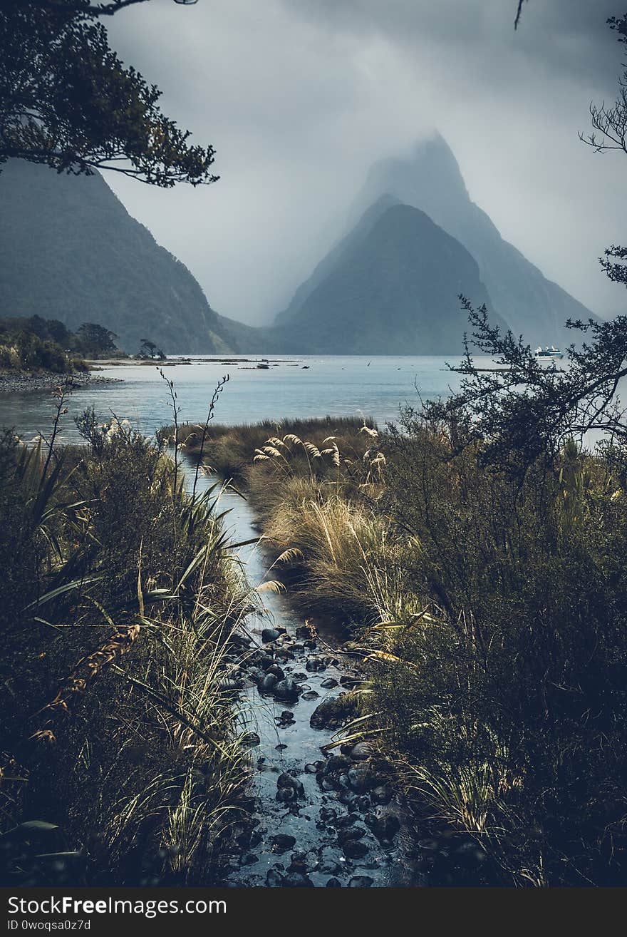 Scenic Milford Sound in New Zealand. Scenic Milford Sound in New Zealand