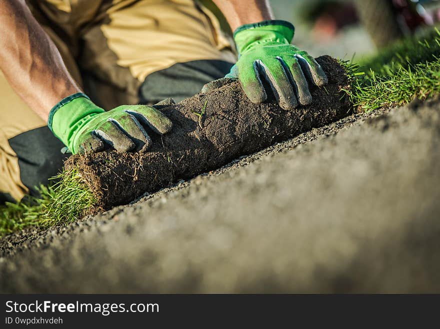 Residential Lawn Grass Installation by Caucasian Gardener. Garden Worker Installing Brand New Natural Grass Turfs. Close Up Photo