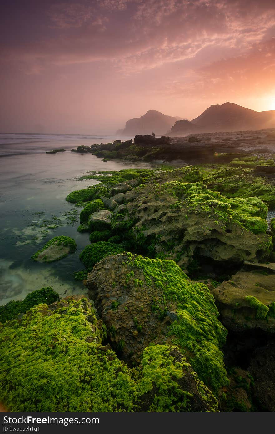 Seascape in Salalah Khareef monsoon season