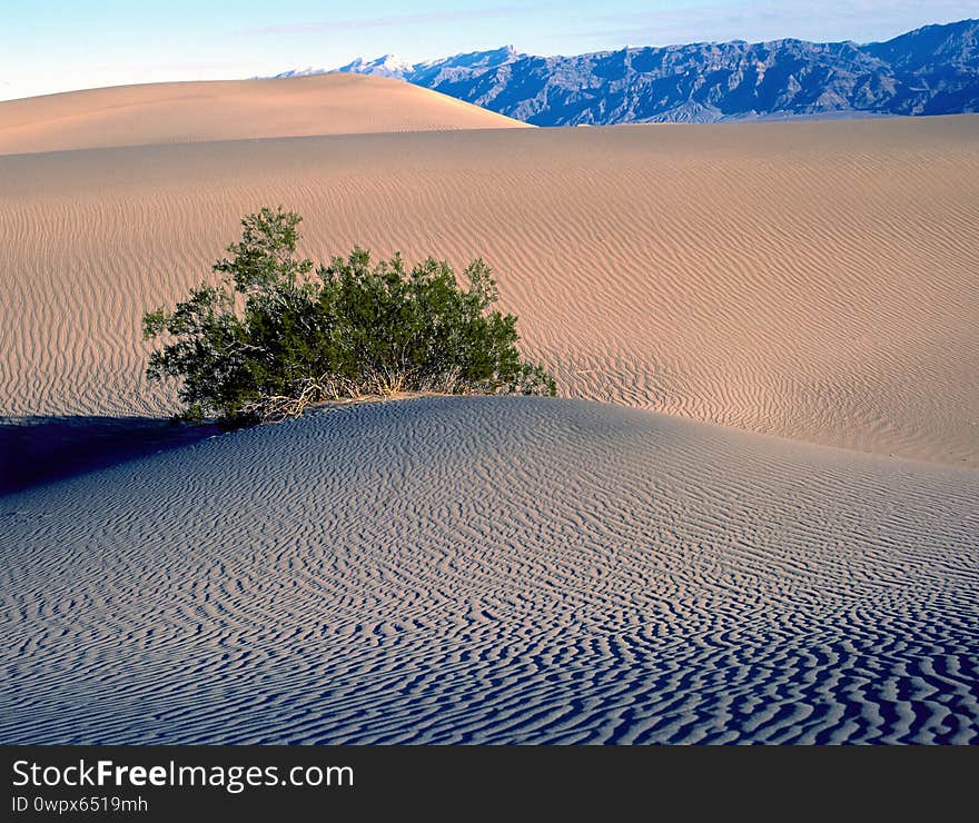 The Mesquite Sand Dunes in Death Valley National Park in California USA