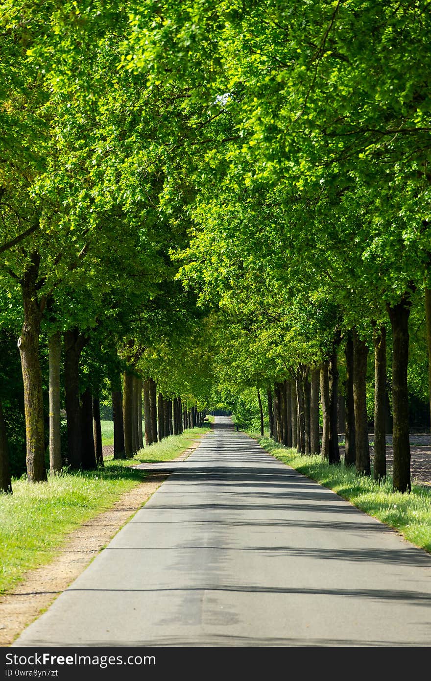 Landscape shot, with green trees and blue sky, climate community Saerbeck Germany. Landscape shot, with green trees and blue sky, climate community Saerbeck Germany