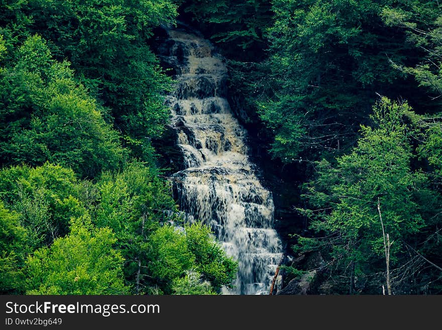 Blackwater Falls State Park West Virginia