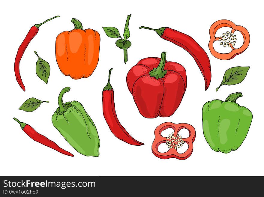 Vector set with red, green, orange pepper. Isolated fresh pepper, paprika, chilli