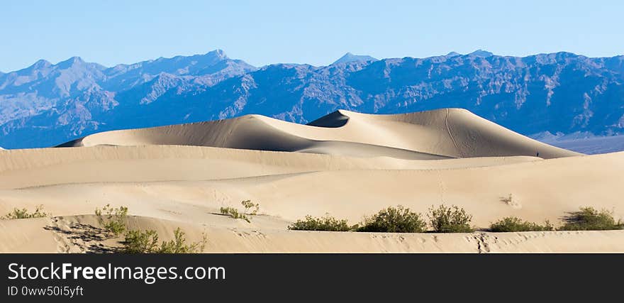 Deep blue mountains form a backdrop to panoramic sand dunes at Mesquite Flat