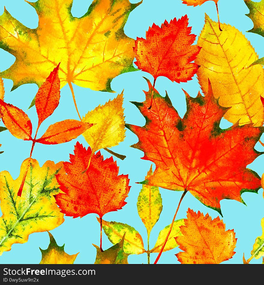 Seamless pattern with hand painted watercolor red and yellow autumn leaves: oak tree; ash-tree, maple, birch. Autumn background for textile, print, wallpaper, scrapbooking