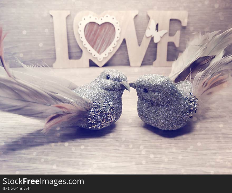 Two birds decor love valentine`s day present on shiny background. Two birds decor love valentine`s day present on shiny background