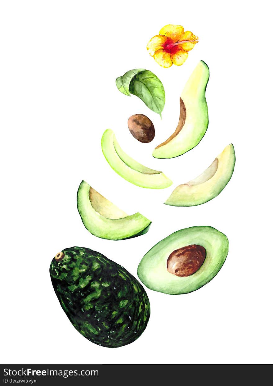 A beautiful composition of a ripe whole avocado and its pieces of different sizes decorated with a yellow tropical flower. Watercolor illustration of a green vegetable for a design on the theme of food and the benefits of vitamins.