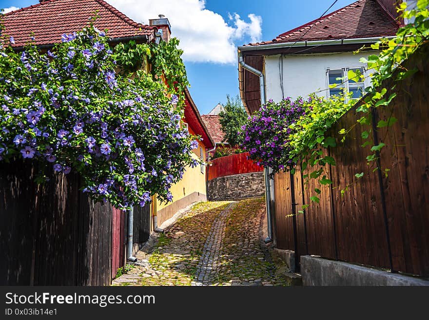 Old medieval city , Sighisoara, Romania