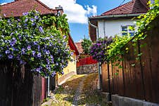 Old Medieval City , Sighisoara, Romania Stock Image